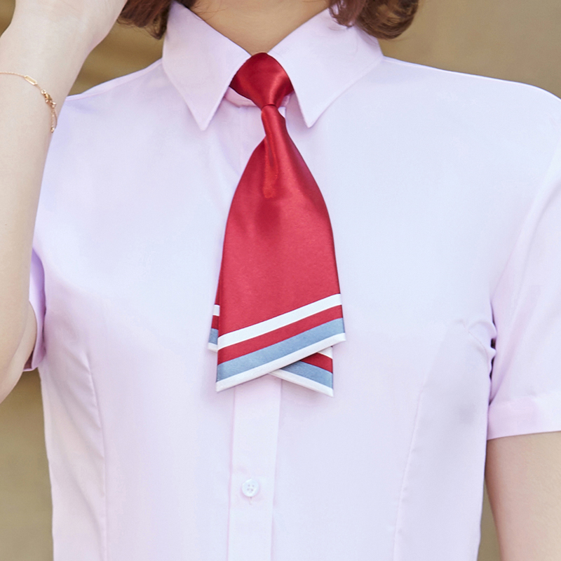 商务职业领带领结男女款DQ1-8808领带图4