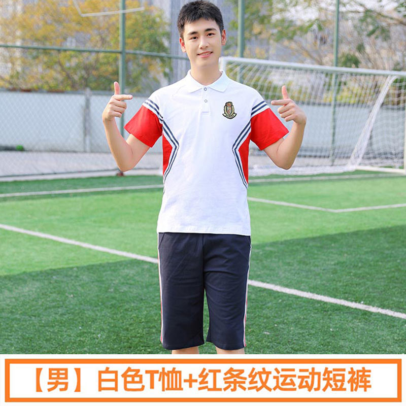 学院风中学生初中生运动会春夏季短袖班服校服两件套男款H23-201（含徽章）图3