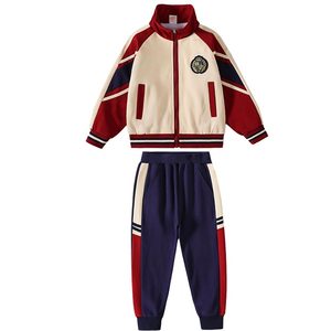英伦风运动休闲中小学生班服校服两件套215-9109（有标）